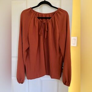 Lantern sleeve tie neck blouse NWOT size large